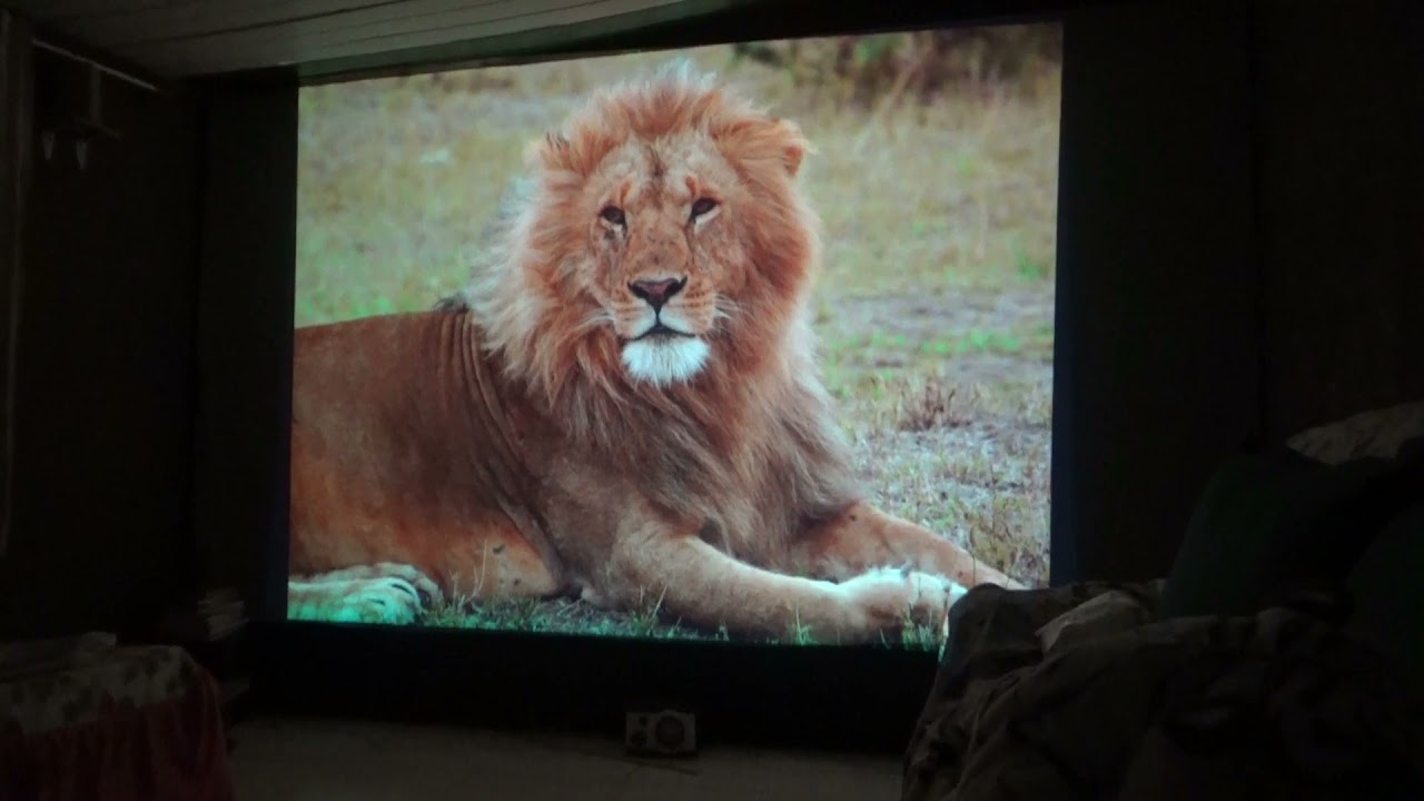 Projetor Epson X29 teste na tela salange cinza.