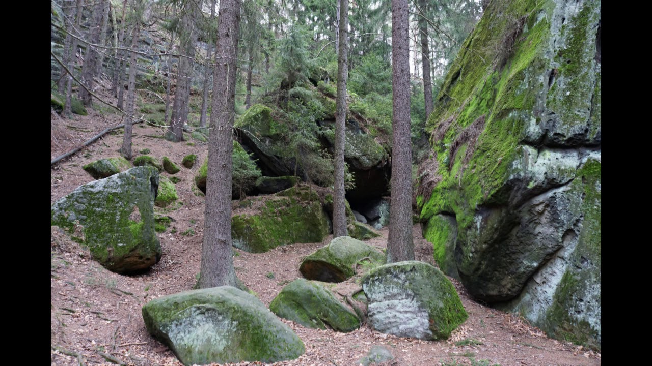Wanderung zur Brandaussicht bei Hohnstein
