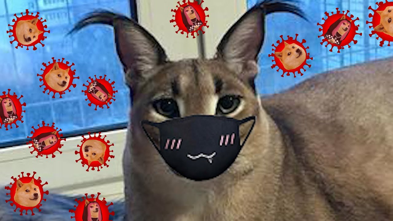 Movimenti Intestinali - Variante Sigma