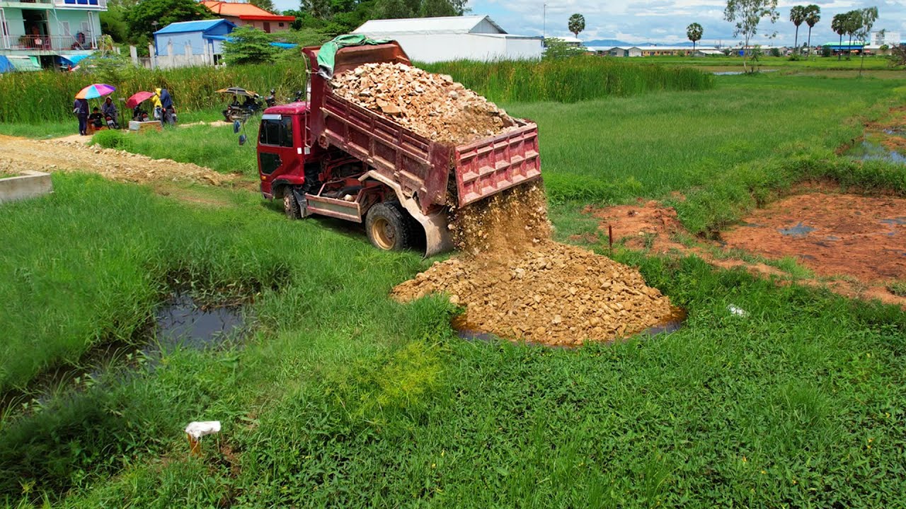 Freshly Lanfill in Flooded Local!! Bulldozer D20P & Truck 5T Droping Stone Into water