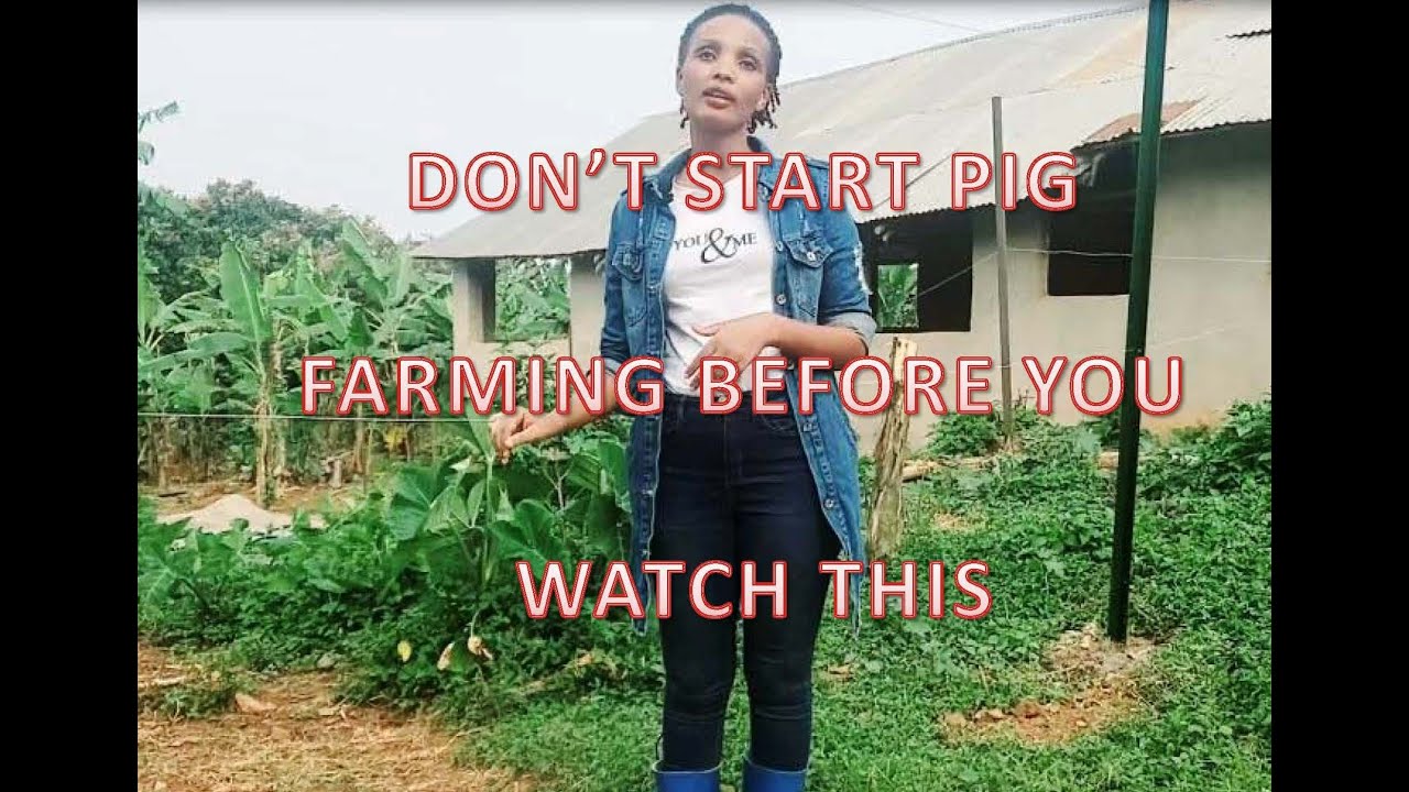 DON'T START PIG FARMING BEFORE YOU WATCH THIS!!!!!!