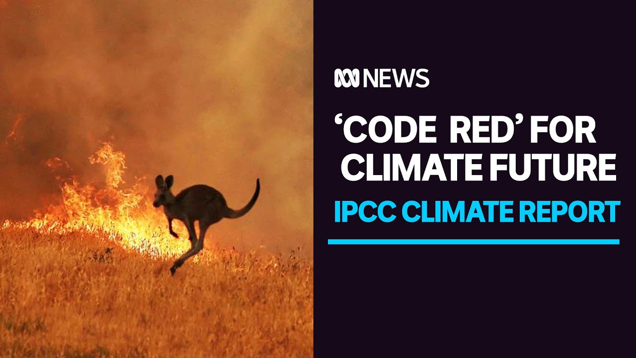 Climate change report a 'code red for humanity', United Nations chief warns | ABC News
