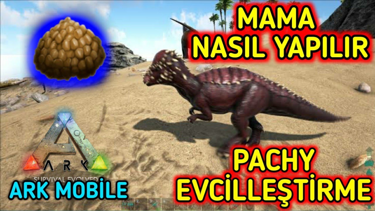 MAMA NASIL YAPILIR - PACHY EVCİLLEŞTİRME - (Ark Mobile Türkçe)
