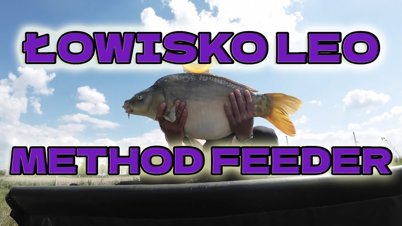 Ogromne karpie i liny! Łowisko Leo! Wędkarstwo Method Feeder!