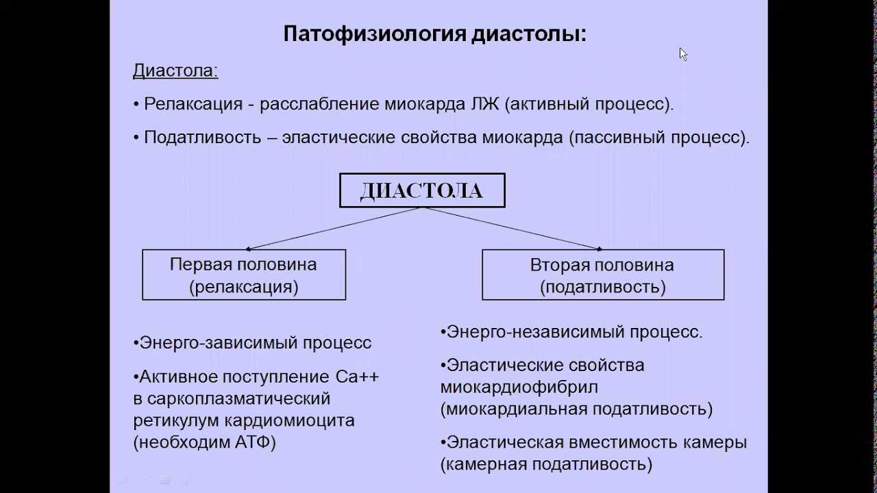 УЗД диастоличнской дисфункции ЛЖ Моргунов М Н