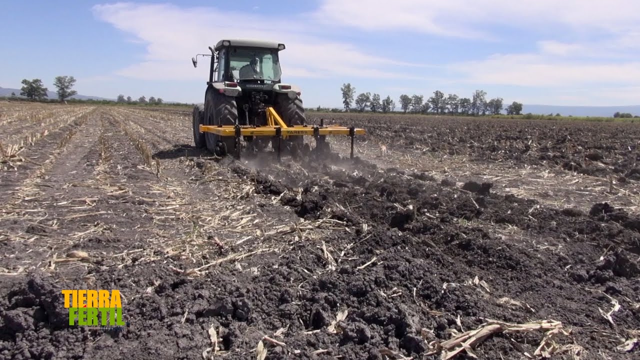 Tierra Fértil Tv-Sembradoras e implementos para el campo mexicano (2.12.23)