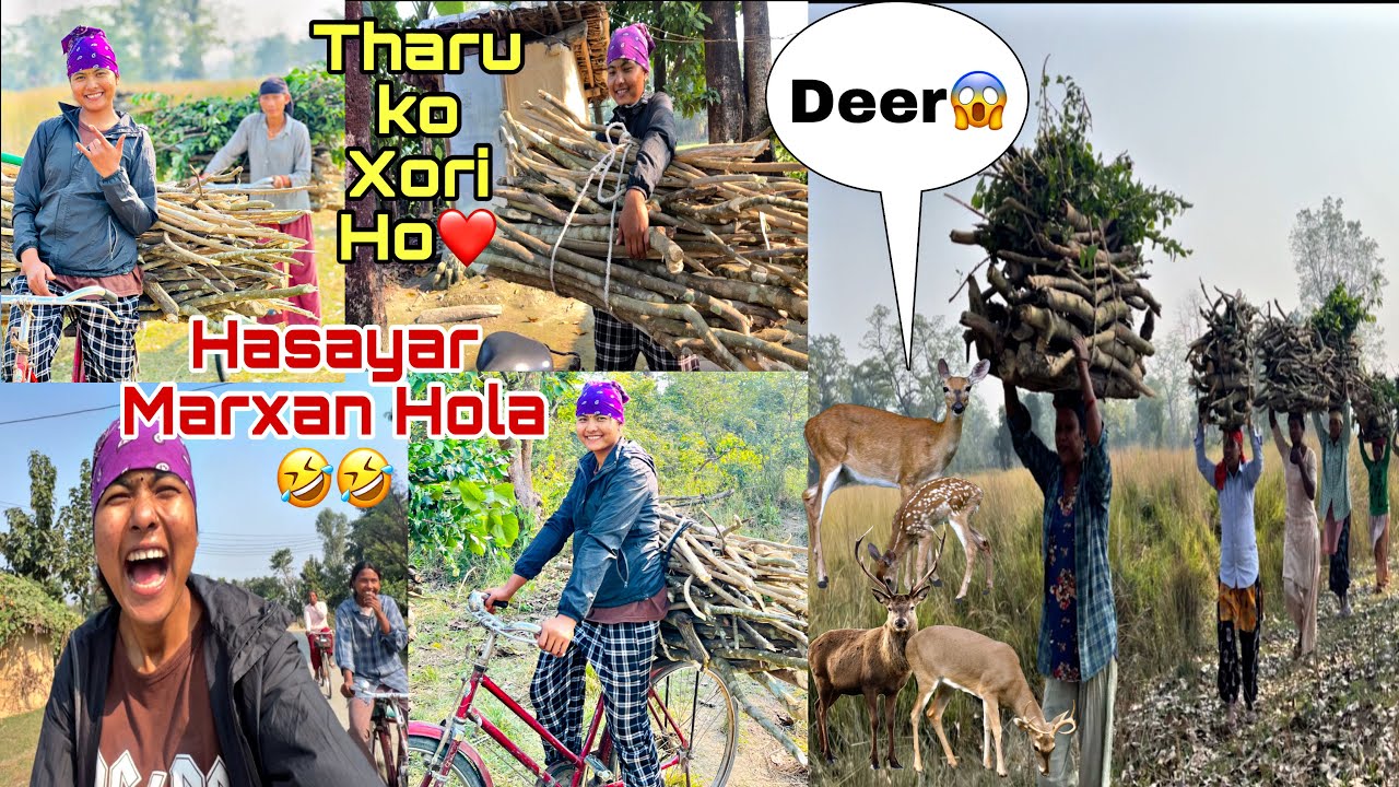 KATHI GAAKO ASTO PO DEKHIYO😳||Sanjana❤️Tharu||vlog🥀