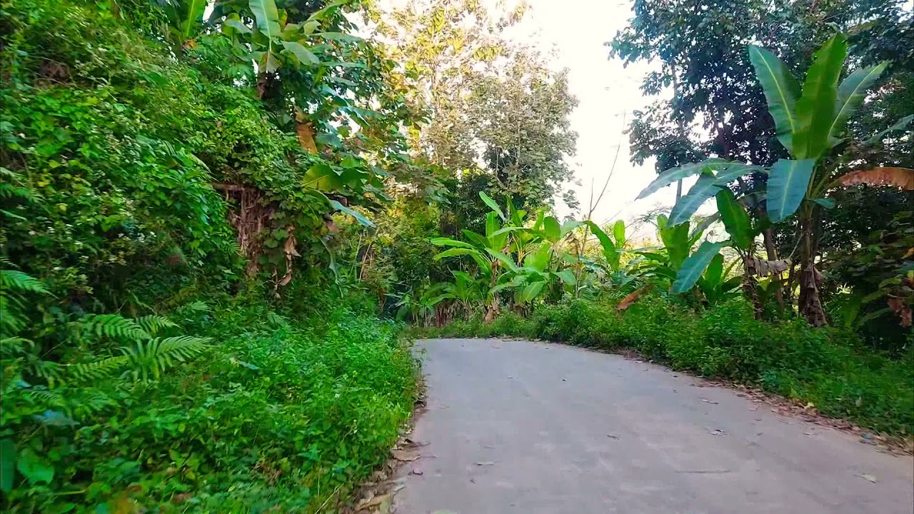 Ciparay | The natural beauty of the countryside 🇮🇩