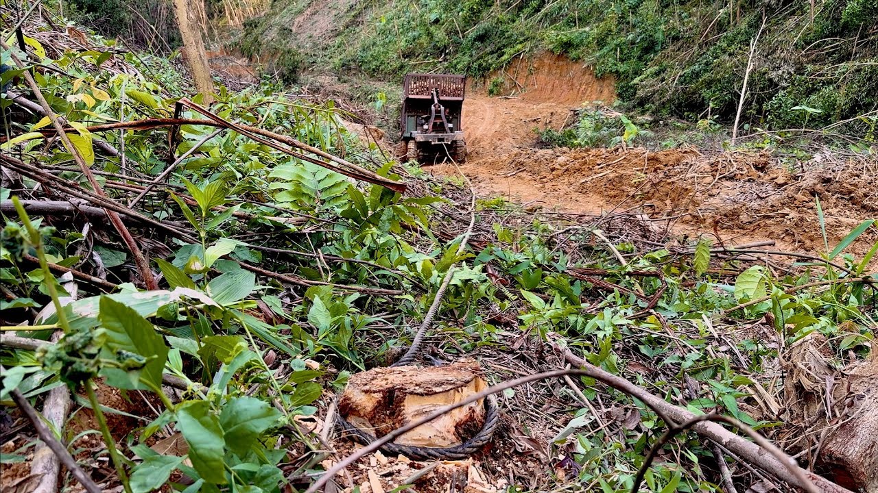 The truck was very sturdy and strong when carrying timber uphill.