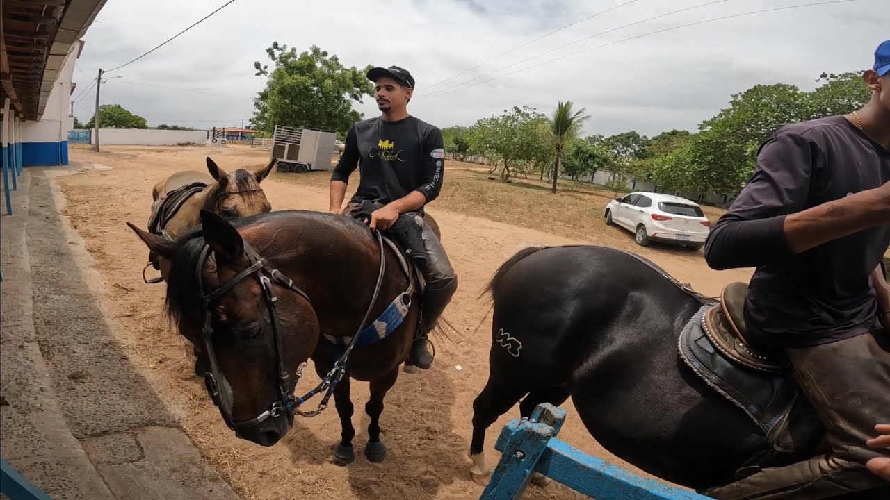 BASTIDORES RAIZ AQUI NO HARAS CB!