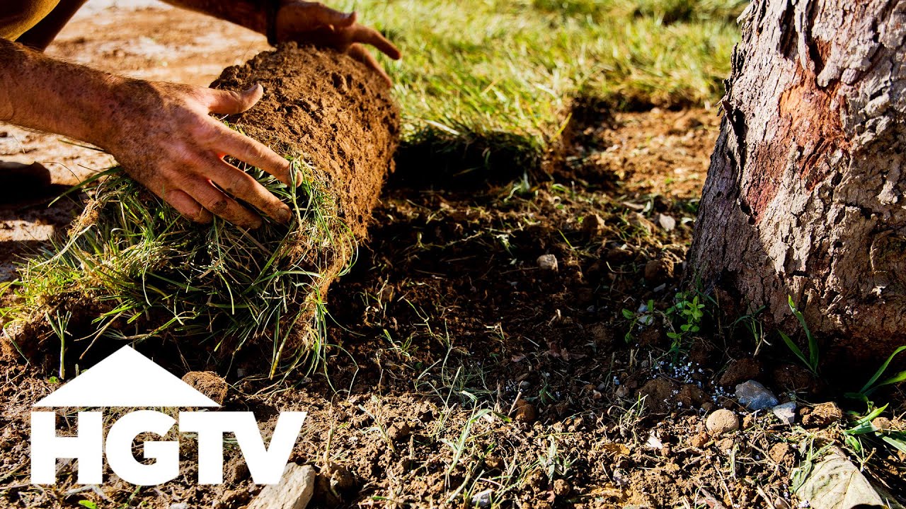 How to Lay Sod | HGTV