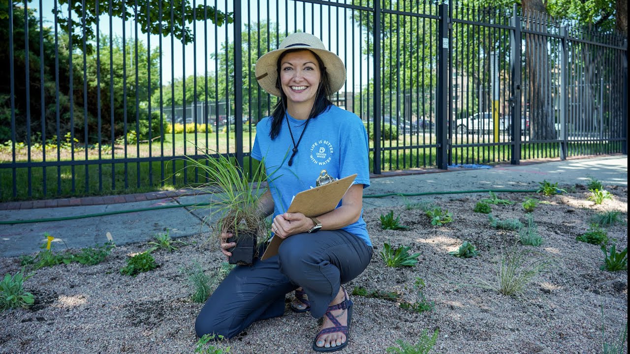 Landscape transformation at Denver Water