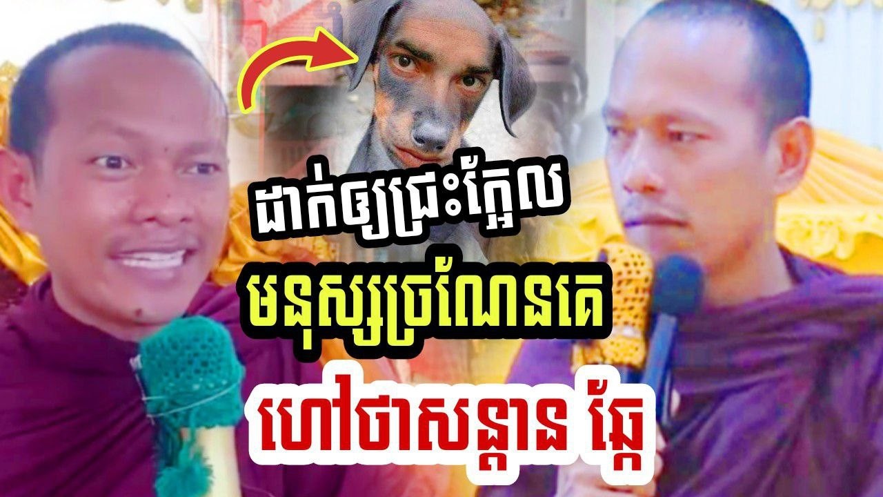 ដាក់ឲ្យជ្រះក្អែល មនុស្សចូលចិត្តច្រណែនគេ ហៅថាសន្តានឆ្កែ