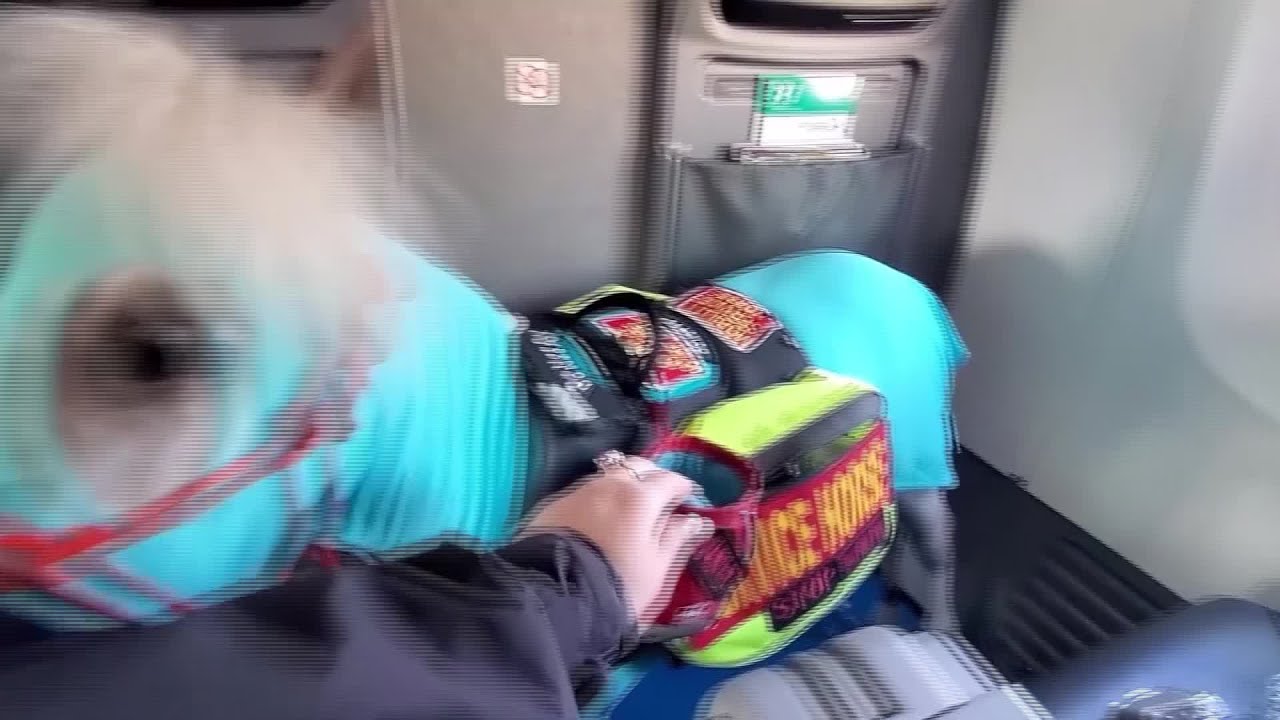 Mini service horse takes first successful flight