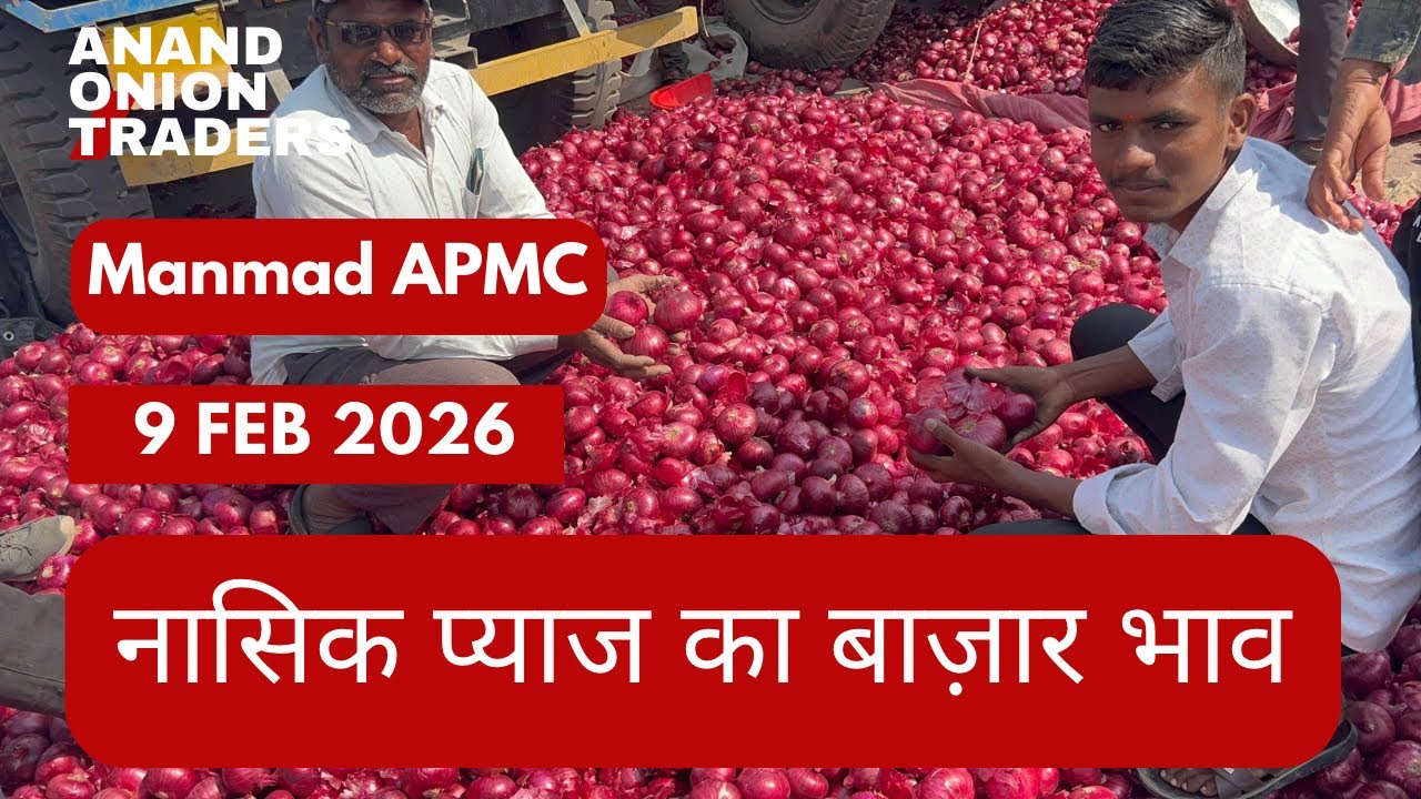 Nashik Onion Today Market Rate 🔴 | APMC Live Bhav Today | Red Onion Price India 9 February 2026