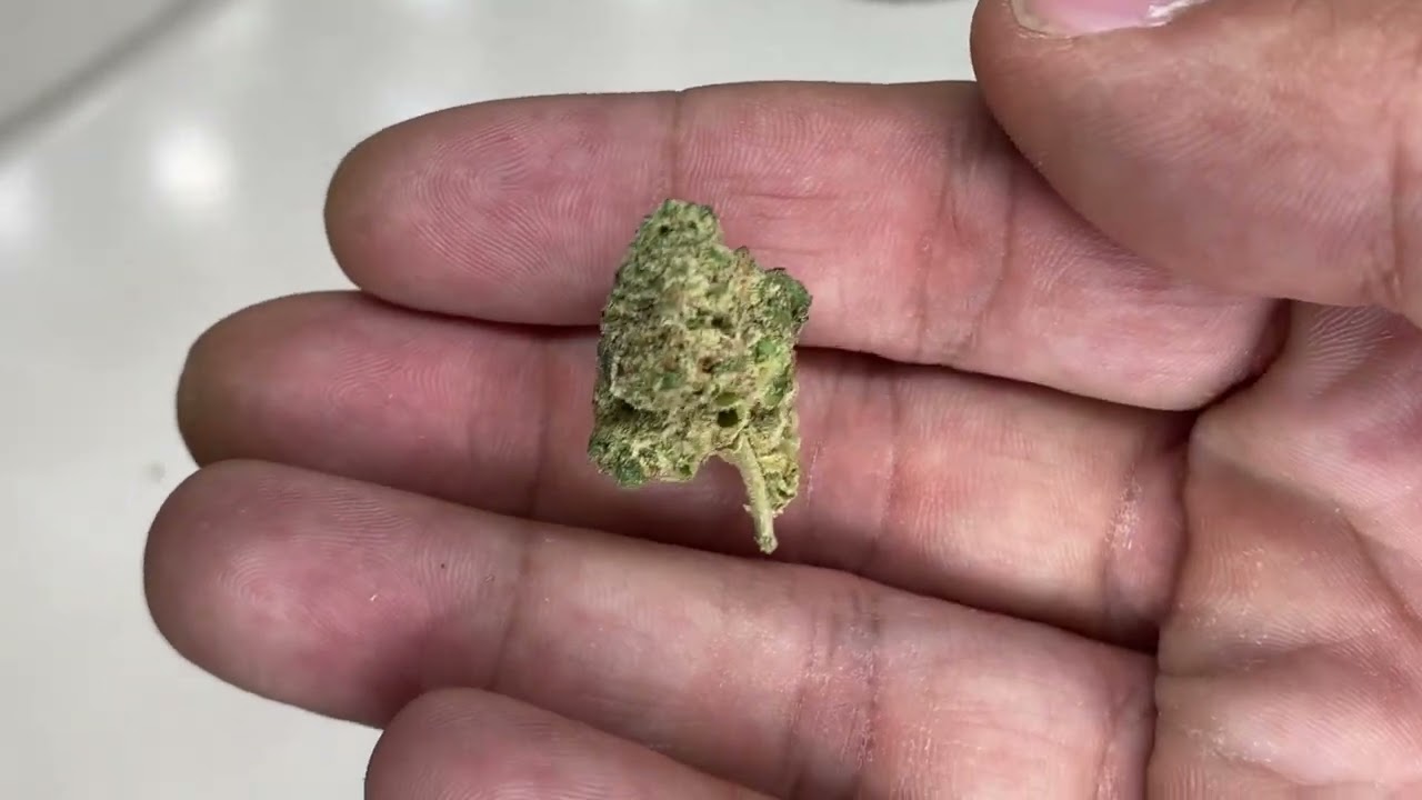 &Shine Grape Stomper Mixed Buds Review