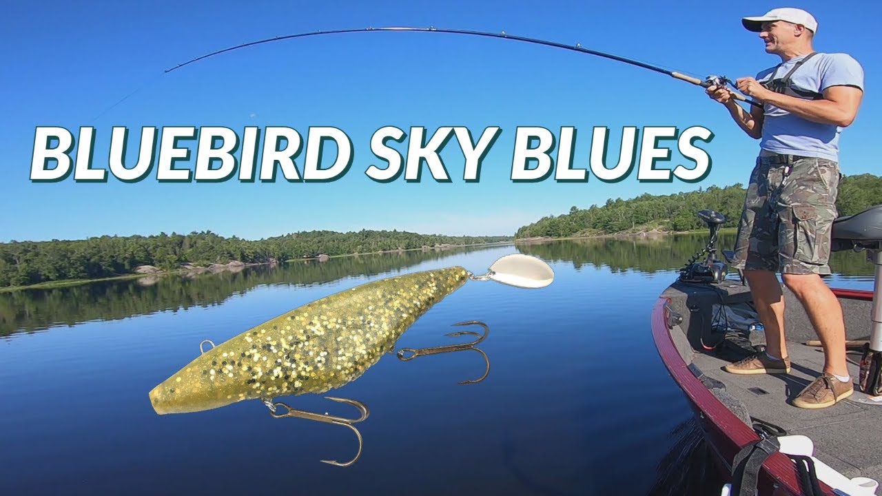 bluebird sky blues - or how to catch a musky on a calm, sunny day