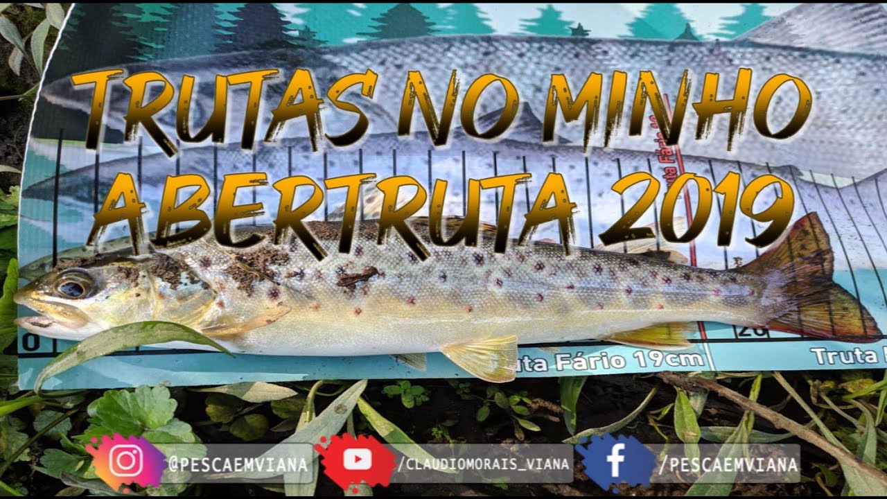 Trutas no Minho - Abertruta 2019