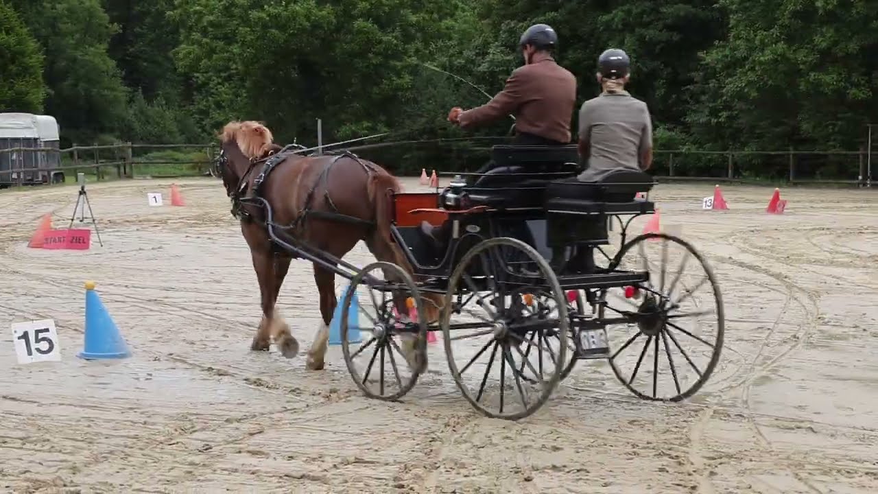 Fahrturnier Reken 24.5.2025 (Kegel)