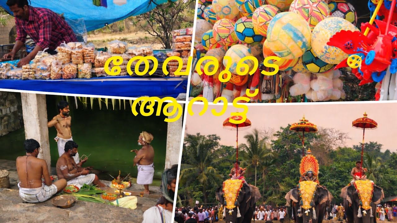ഉത്സവം കൂടാൻ പോവാം🥳🥳🥰 #ulsavam #pooramvibes #prasadam #trendingvideo #vibes#elephent  