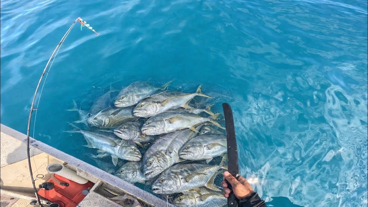 Segredo que os pescadores profissionais esconde de você faça isso e você pegará muito peixe!