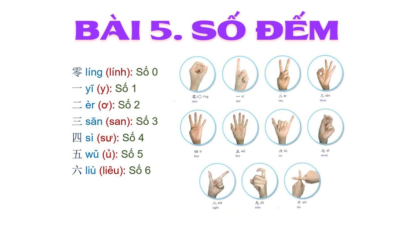 Bài 5 - Số đếm | TIẾNG TRUNG CẤP TỐC 2018