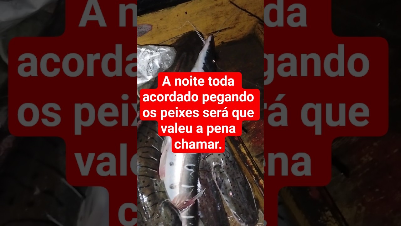 pegando os peixes subindo o Rio Purus Amazonas