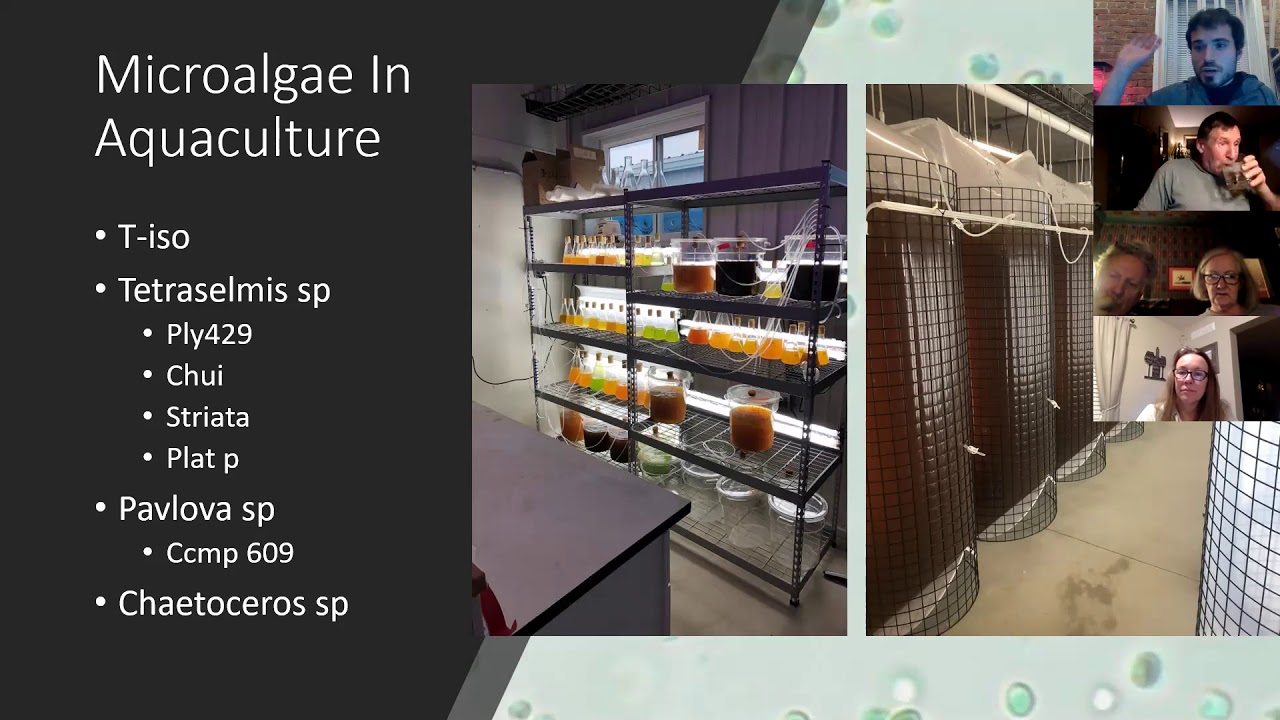 The Incredible Edible Microalgae • Aquaculture Workshop - Part II • January 2021