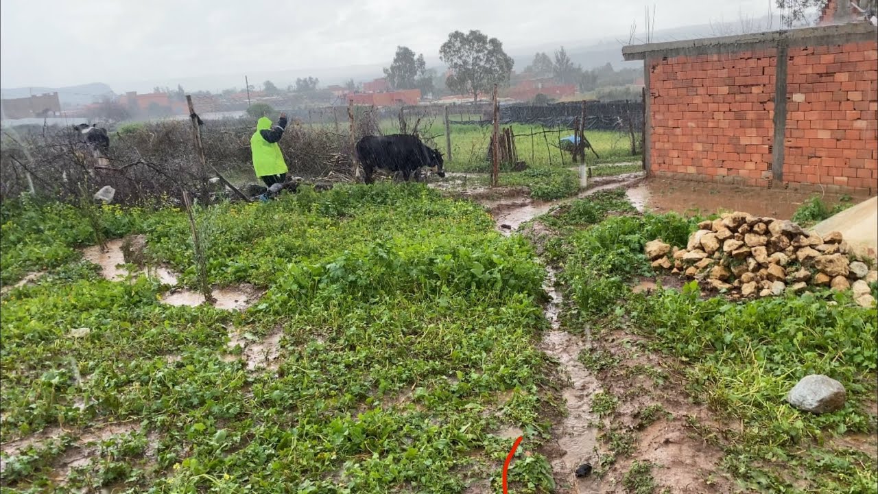أمطار الخير قبل لفطور ومي مريم تجري مع الماء