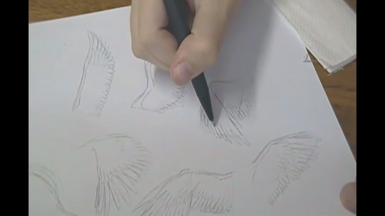 Tutorial - Como desenhar pássaros / How to draw birds