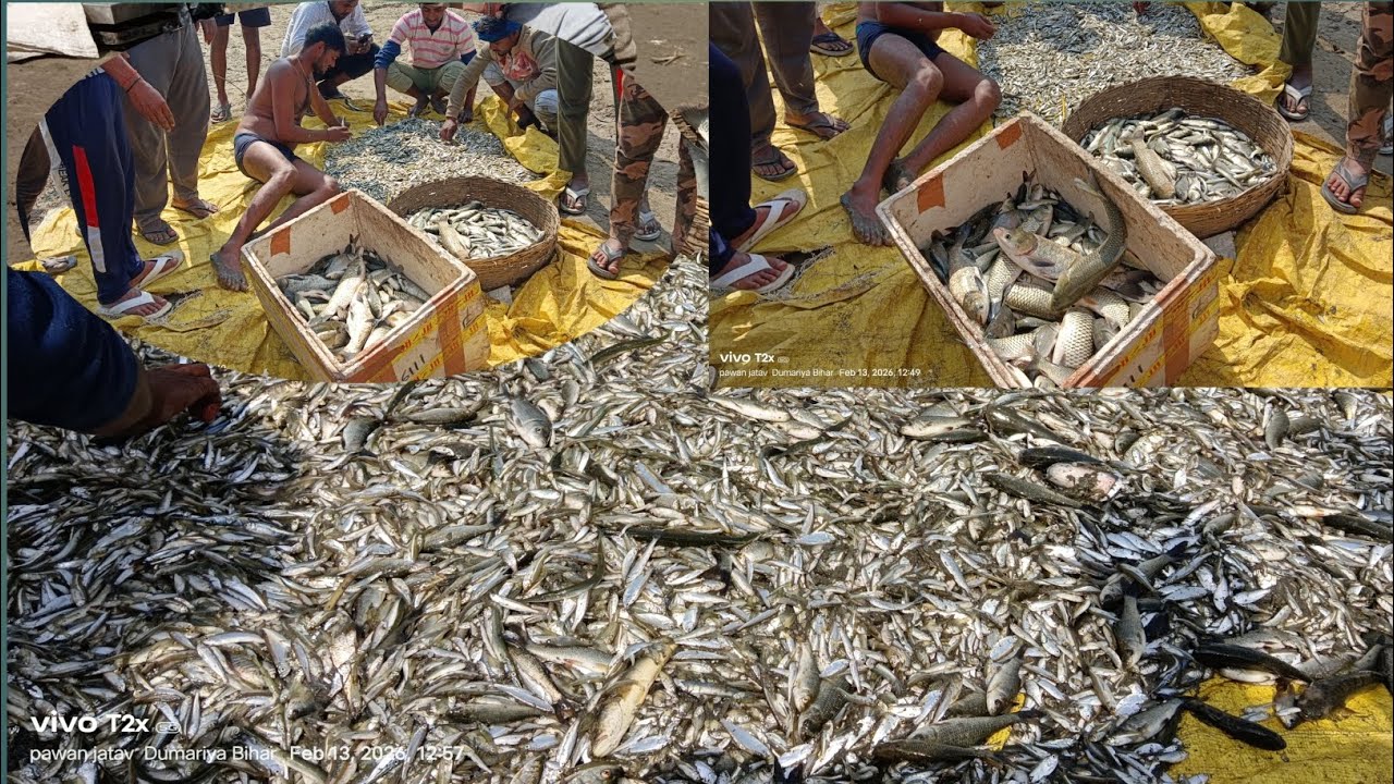 Live Fish Caught Moment | Biggest Catch Ever!Village Fishing Vlog