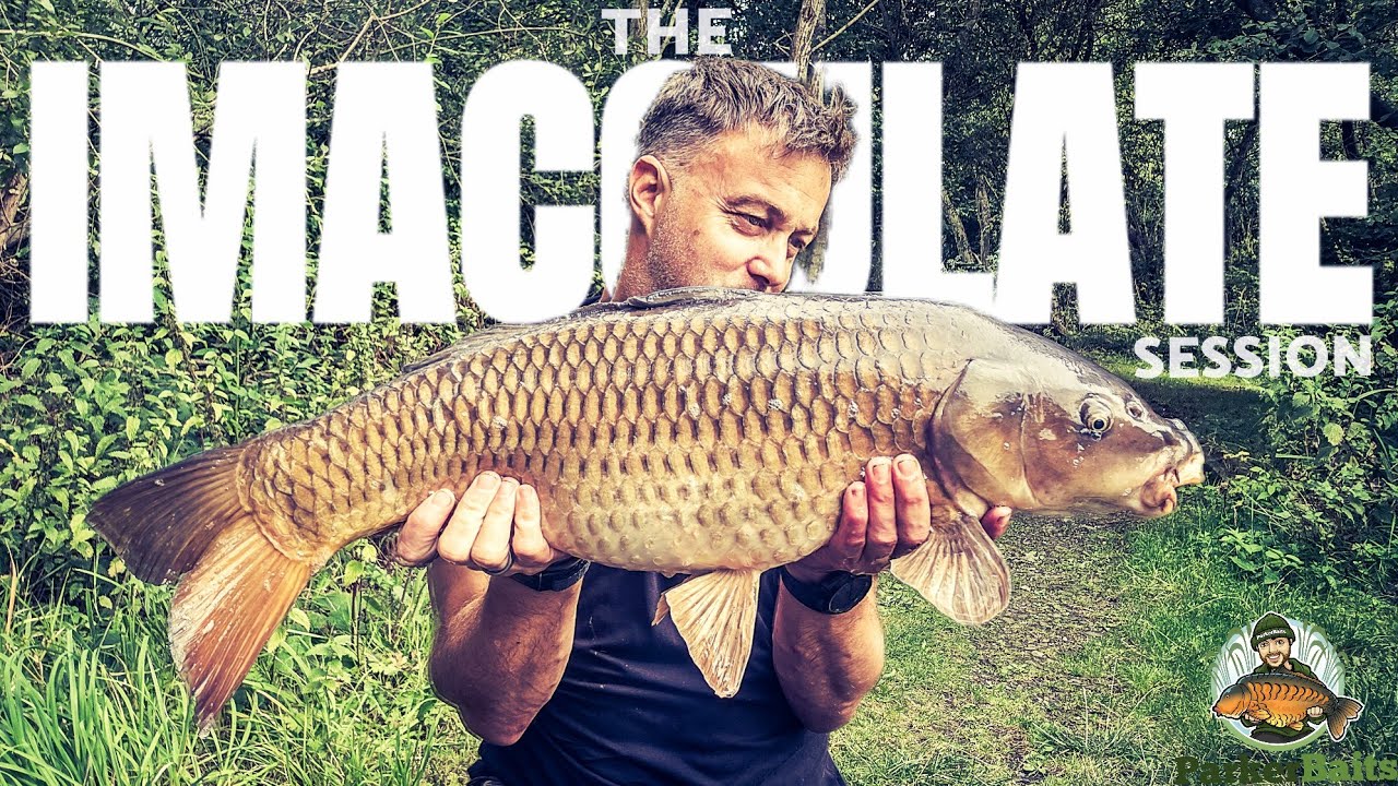 Безупречная сессия | Ловля карпа 2025