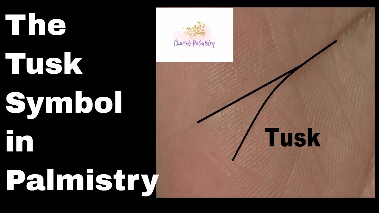 Indian Palmistry Signs and Symbols: The Tusk and Spiritual growth