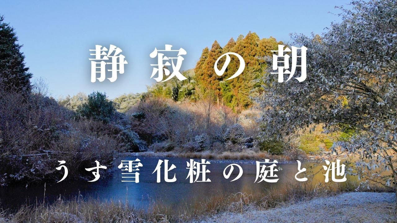 静寂の朝 うす雪化粧の庭と池