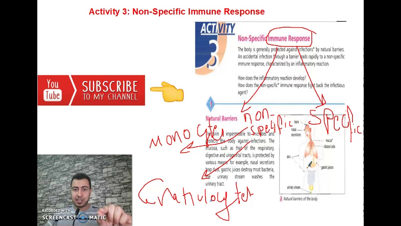 chapter 1; activity 3: Non-specific immune response grade 8