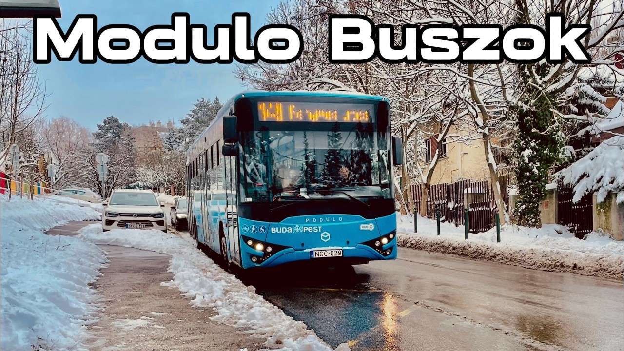 KÁOSZOS VÁLTOZÁS! MODULO M108d és Ikarus 127V Buszok