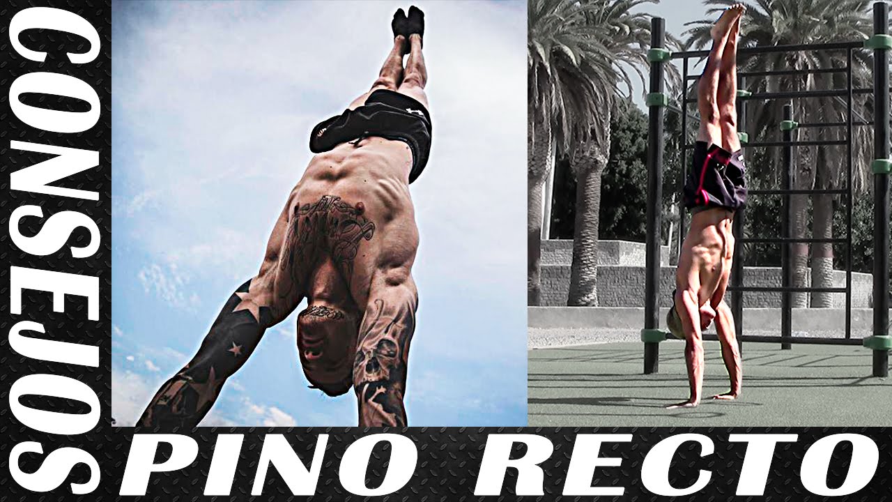 Pino - Consejos Avanzados Para Perfeccionarlo - Pino Recto