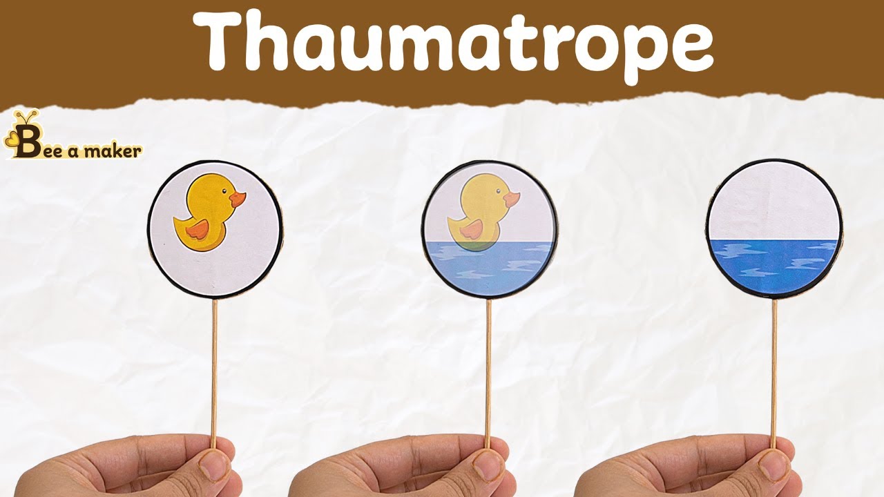 DIY Thaumatrope toy (optical illusion) | DIY | School project | science project | STEM activity