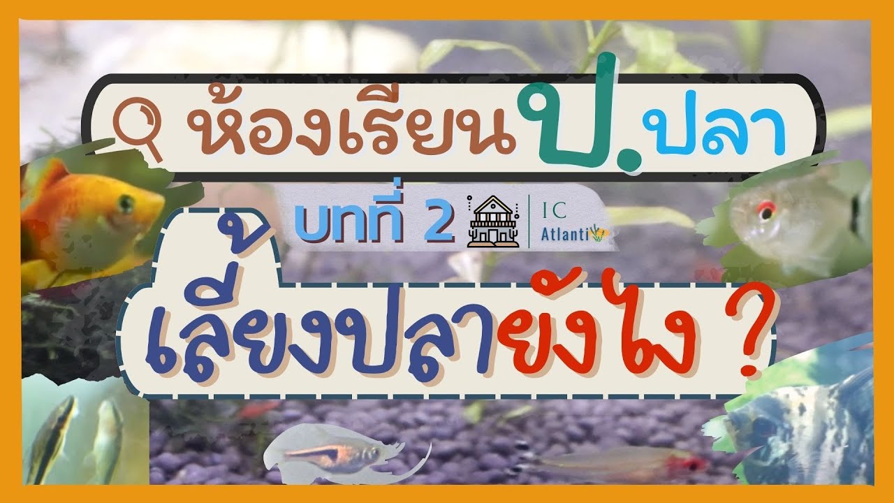 ห้องเรียนป.ปลาIC บทที่2 