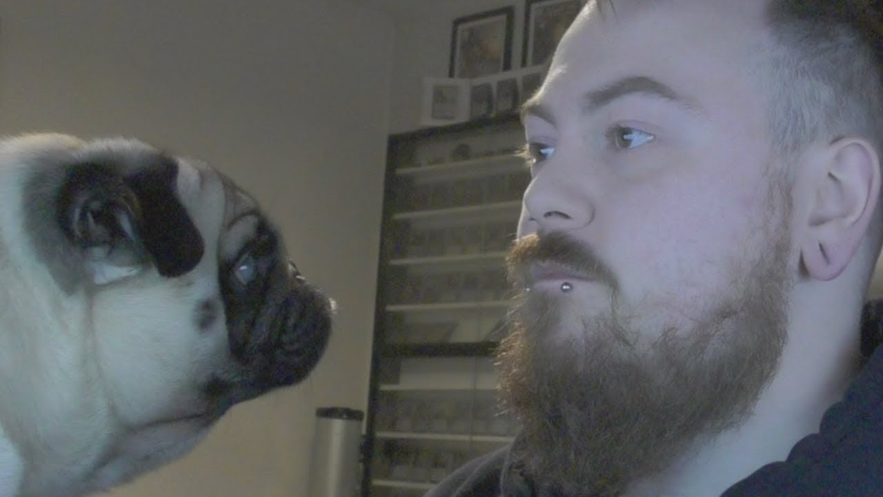 Danks Political Compass (GONE FASHUAL)