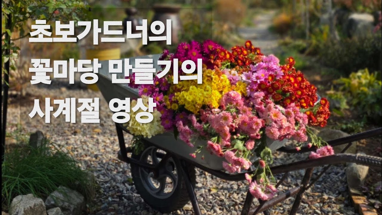 초보가드너의 시작하는 정원 이야기