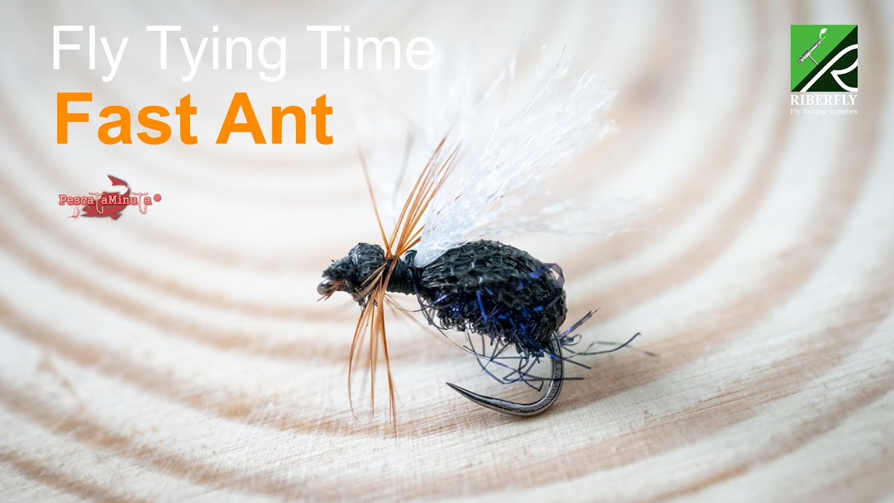Fly Tying Time - Fast Ant