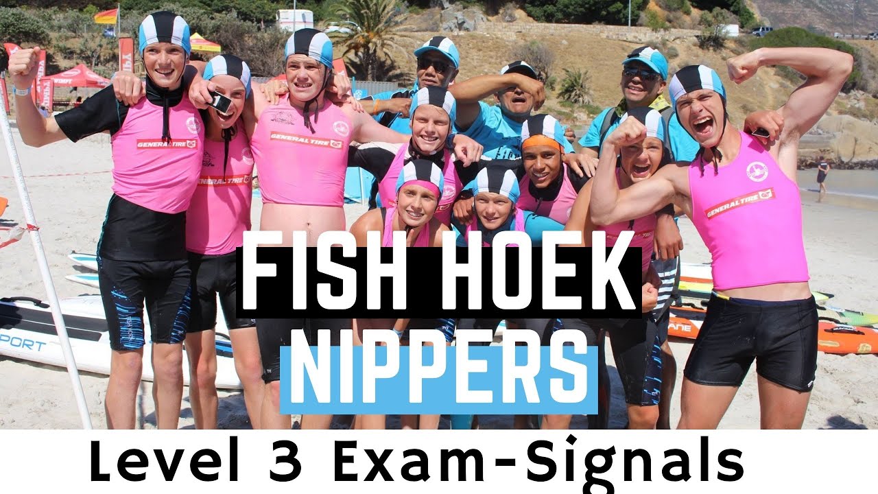 Nippers Signals Level 3