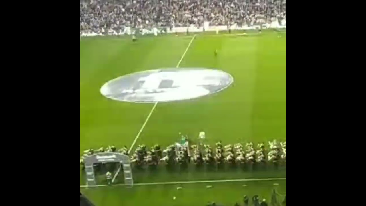 Agrupación Musical🎶 Virgen de los Reyes, en el Benito Villamarin. Espectacular 💚🇳🇬