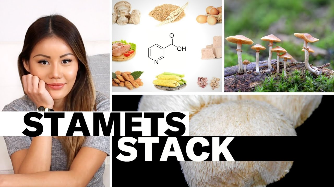The Stamets Stack and a Better Psilocybin Microdosing Protocol? #Nootropics