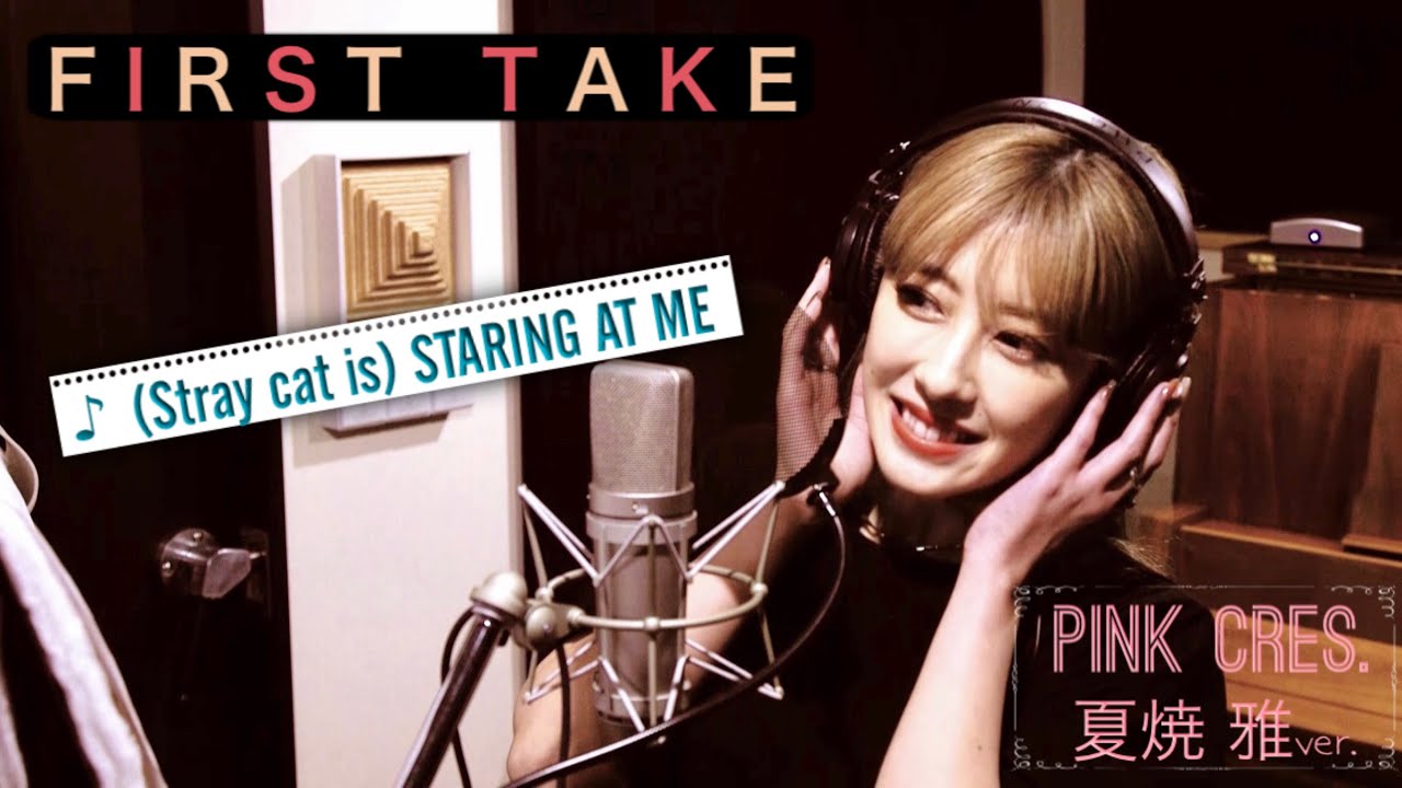 PINK CRES. - (Stray cat is ) STARING AT ME 〔FIRST TAKE 夏焼雅ver〕