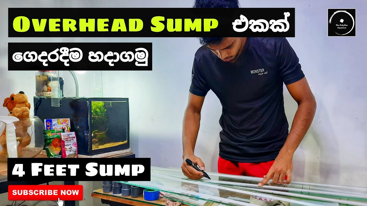 How to make an Over Head Sump Filter - In sinhala | 4 feet sump | The Fishyflex [FHD Video]