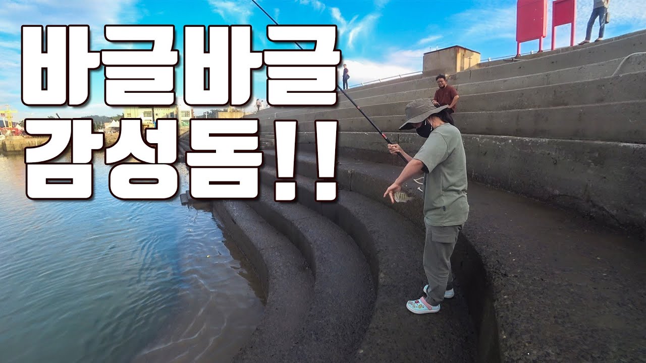 [다리tv] 여기서 감성돔이?! 최고의 발판!!! 서해권 민장대 낚시!!!