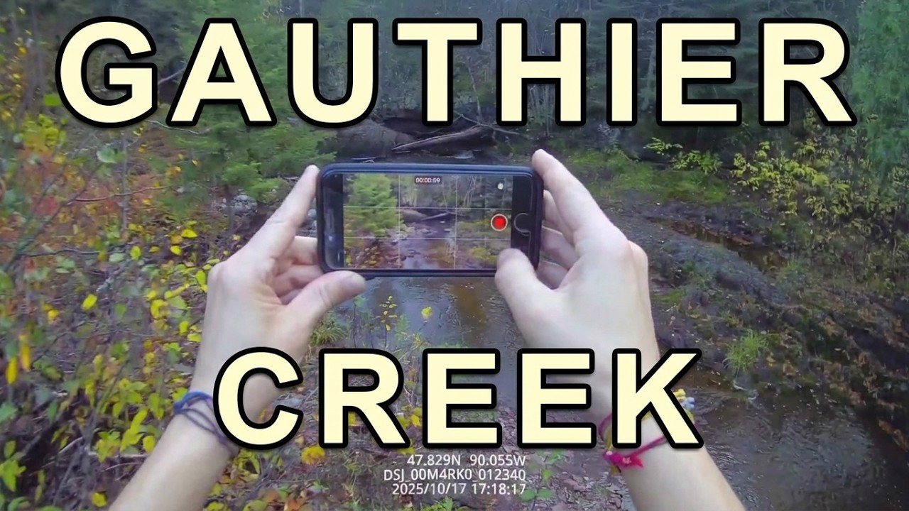 Gauthier Creek at Judge C.R. Magney State Park (Grand Marais, MN) [10-17-25]