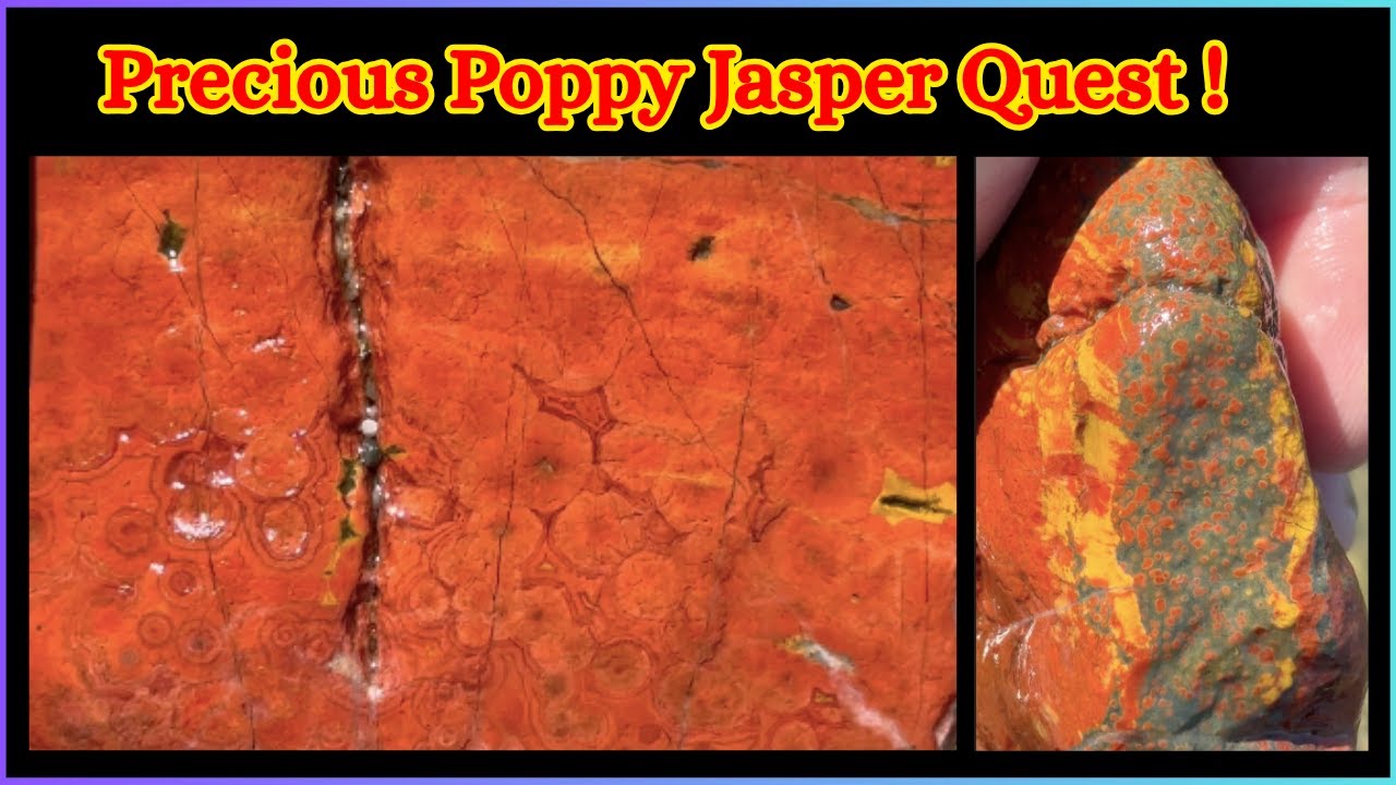 Rockhounding Northern California Poppy Jasper !  Se 9 Ep 20 Vid #1,2121 By: Quest For Details